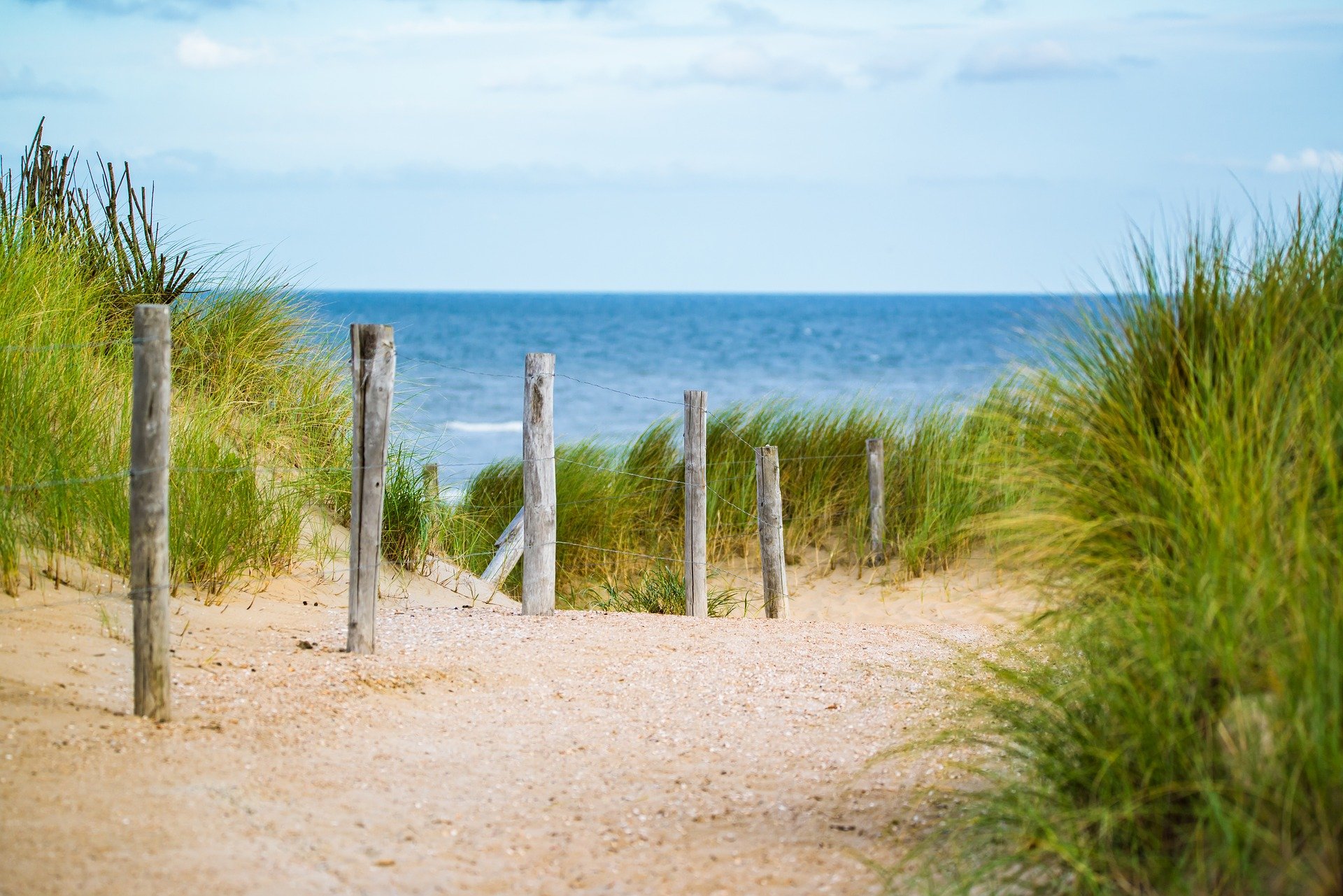 Plage lumineuse au soleil, dunes et herbes dorées